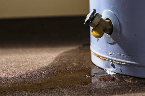 Best Basement water damage restoration  in Quincy, WA