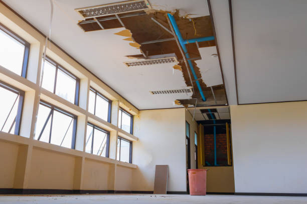 Best Water damage cleanup near me  in Quincy, WA