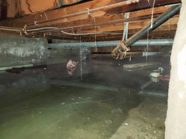 Best Water damage restoration process  in Quincy, WA