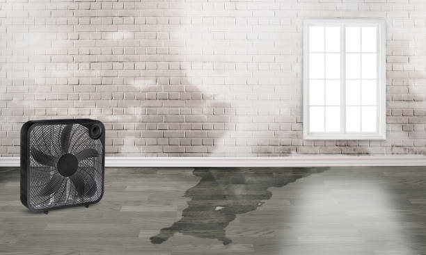 Local water damage restoration in Quincy, WA