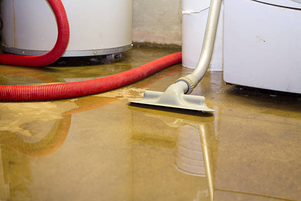 Best Water damage restoration near me  in Quincy, WA