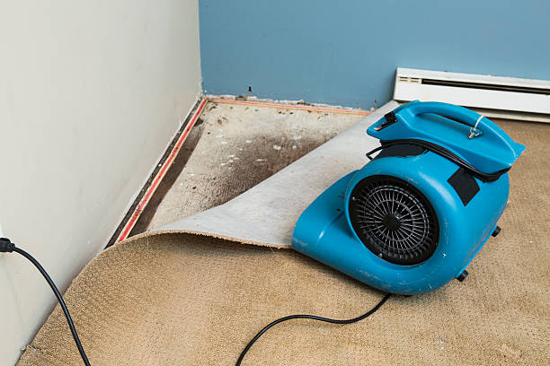 Professional Water damage restoration in Quincy, WA